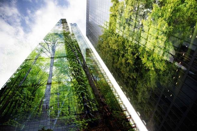 Sustainability and Green Building in USA Real Estate Field